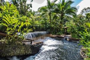 Wellness in Paradise Itinerary Wellness in Paradise Itinerary - Pure Trek Costa Rica