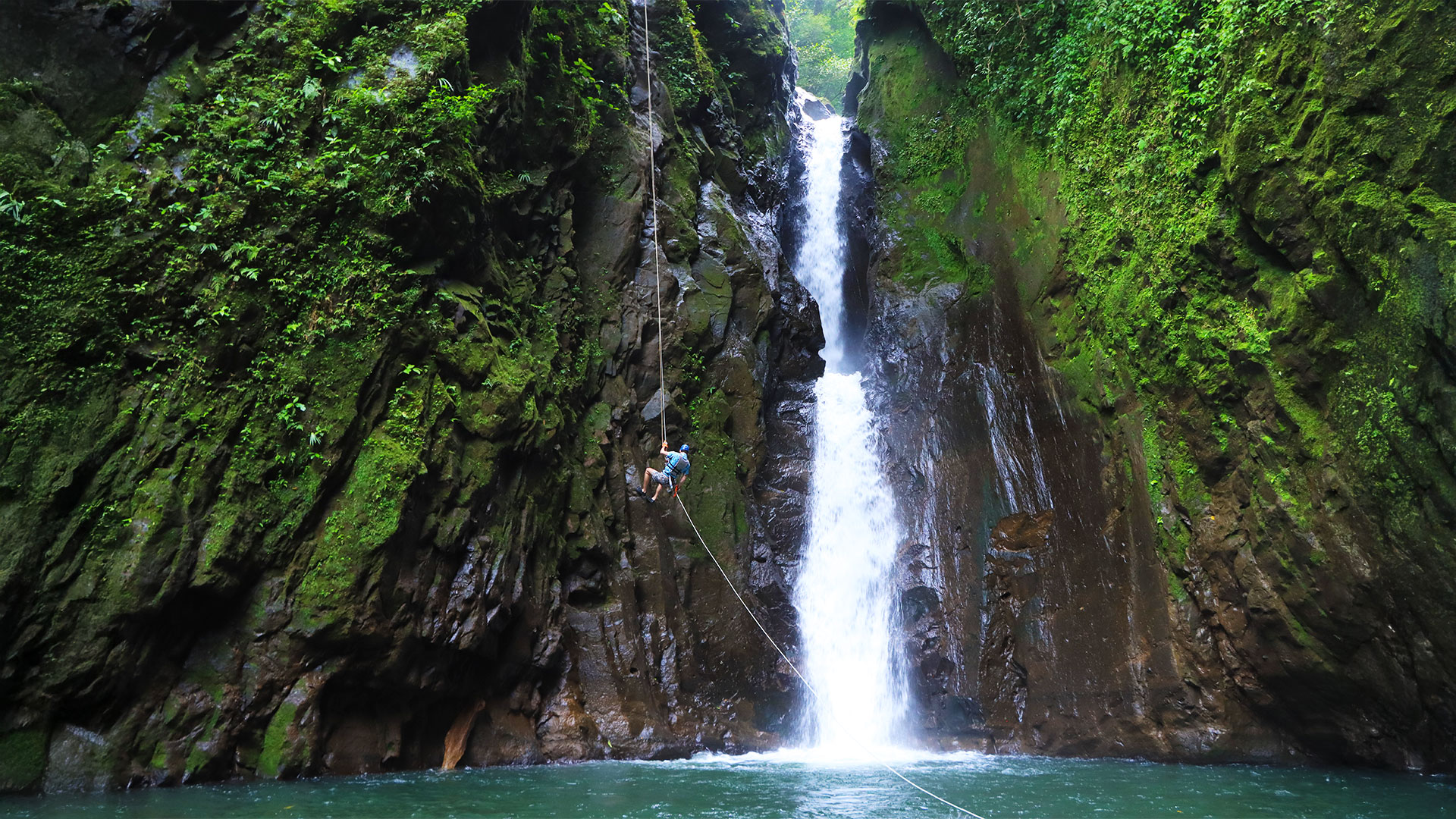Guest rappelling down a tall rainforest waterfall during the Rainforest Falls adventure in Arenal, Costa Rica.